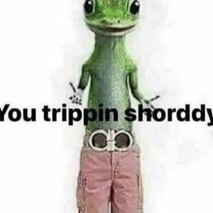 Meet your Posher, Guccirayy